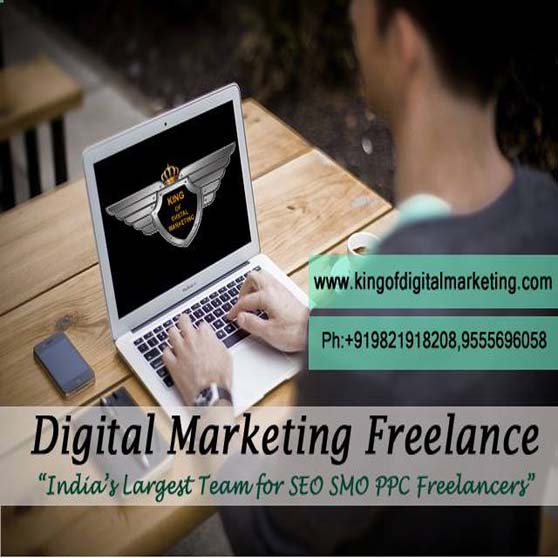 SEO Freelancer in india